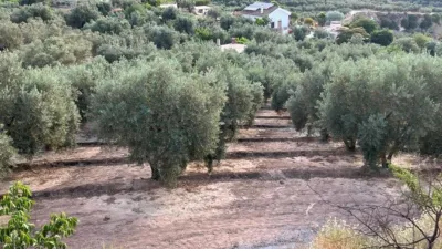 Rustic farm in Restabal photo 9