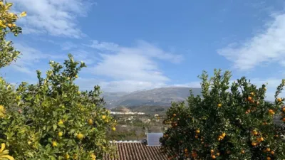 Rustic finca in Restabal photo 7