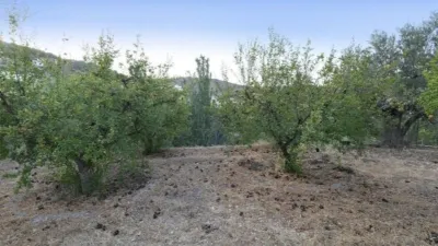 Rustic finca on Calle Polígono 5 Parcela 133 Serrezuela. Villamena (Gra photo 32