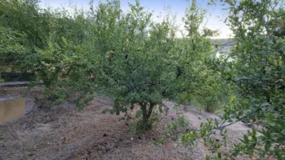 Rustic finca on Calle Polígono 5 Parcela 133 Serrezuela. Villamena (Gra photo 34