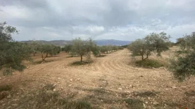 Rustic farm on Calle Polígono 16 Parcela 646 Cañada de Zaldivar. Padu photo 17