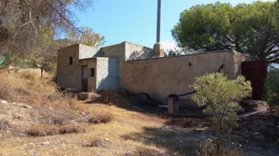 Rustic Finca in Pago Romeral photo 11
