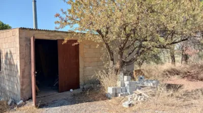 Rustic Finca in Pago Romeral photo 13