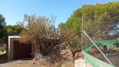 Rustic Finca in Pago Romeral photo 14