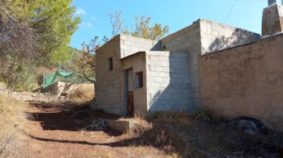 Rustic Finca in Pago Romeral photo 19