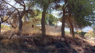 Rustic Finca in Pago Romeral photo 21