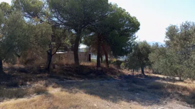 Rustic Finca in Pago Romeral photo 23