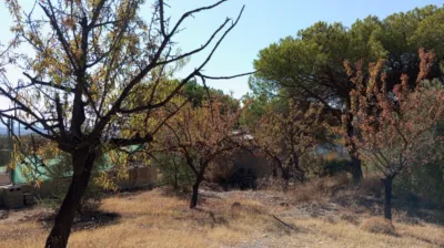 Rustic Finca in Pago Romeral photo 24