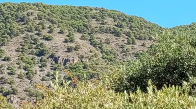 Rustic Finca in Pago Romeral photo 25