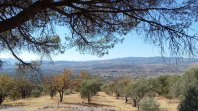 Rustic Finca in Pago Romeral photo 28
