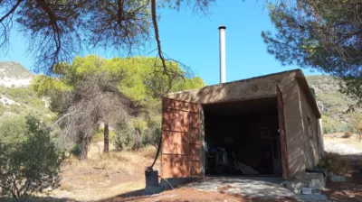 Rustic Finca in Pago Romeral photo 3