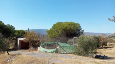 Rustic Finca in Pago Romeral photo 5