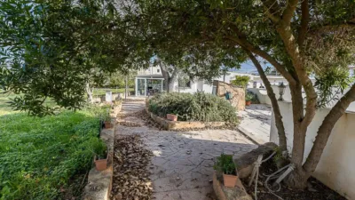 Rustic Finca in Ses Cadenes-Arenal photo 34