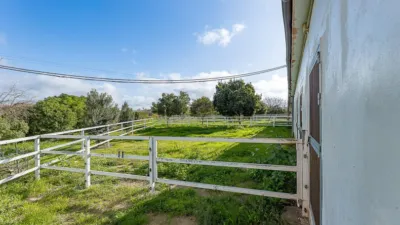 Rustic Finca in Ses Cadenes-Arenal photo 43