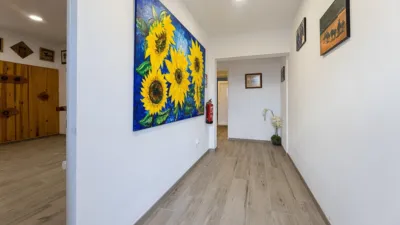 Rustic Finca in Ses Cadenes-Arenal photo 47