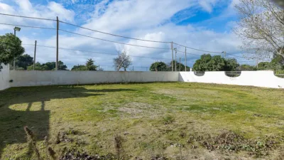 Rustic Finca in Ses Cadenes-Arenal photo 57