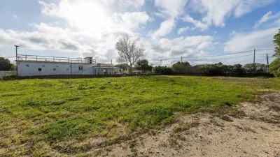 Rustic Finca in Ses Cadenes-Arenal photo 60