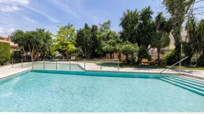 Ground floor apartment in Son Rapinya photo 22