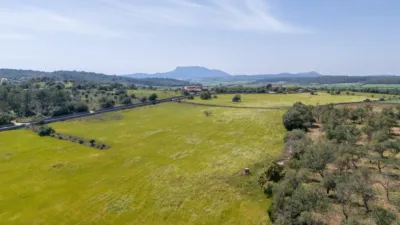 Rustic Finca in Nucleo Urbano 54 photo 28