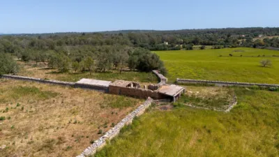 Rustic Finca in Nucleo Urbano 54 photo 31