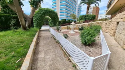 Apartment in Rincon de Loix photo 14