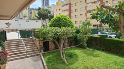 Apartment in Rincon de Loix photo 15
