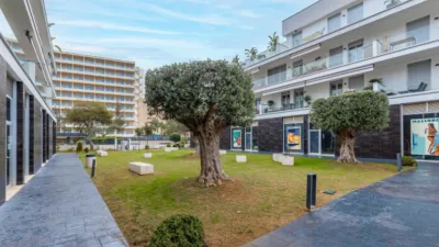 Apartamento en Palmanova photo 30
