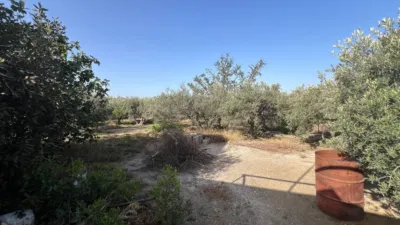 Finca rústica en calle Al-3117 photo 16