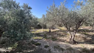Finca rústica en calle Al-3117 photo 17