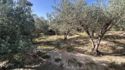 Finca rústica en calle Al-3117 photo 18