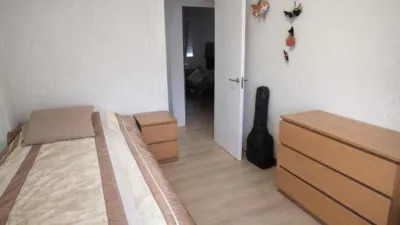 Apartment in Elche photo 12