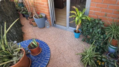 Apartment in Elche photo 17
