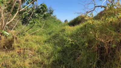 Terreno en alquiler en Calle de Juan Ramón Jiménez, La Cala del Moral (Rincón de la Victoria) de 3.750 €<span>/mes</span>