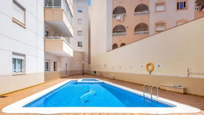 Apartment at Calle de Patricio Zammit, 61 photo 30