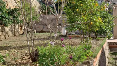 House in La Miranda photo 5