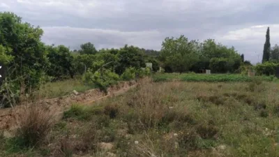 Terreno en venta en Casino - Vista 3
