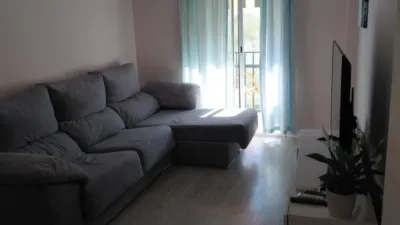 Apartment in Plaza de la Constitución photo 12