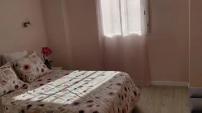 Apartment in Plaza de la Constitución photo 15