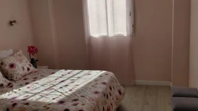 Apartment in Plaza de la Constitución photo 16