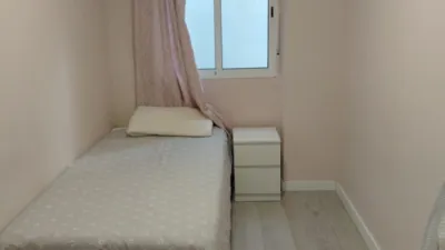 Apartment in Plaza de la Constitución photo 21