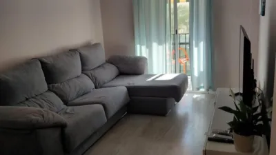 Apartment in Plaza de la Constitución photo 7