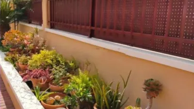 House in Elche photo 47