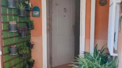 House in Elche photo 49