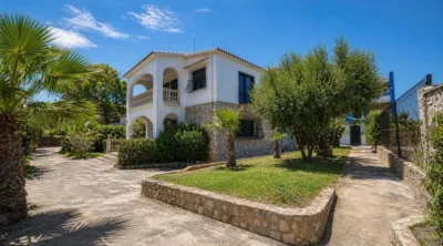 Chalet in Les Bassetes-El Marjal photo 31