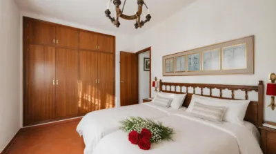 Chalet in Les Bassetes-El Marjal photo 43