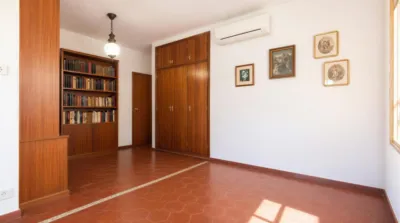 Chalet in Les Bassetes-El Marjal photo 50