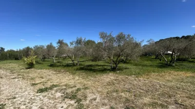 Rustic finca on Calle Termino Azucarera photo 44