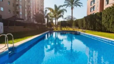 Apartment on Calle del Terrateig photo 2