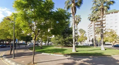 Apartment on Calle del Terrateig photo 4