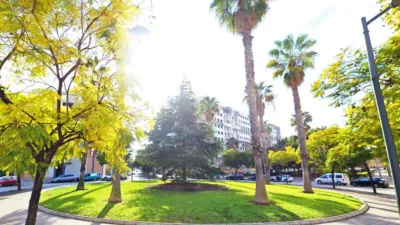 Apartment on Calle del Terrateig photo 5